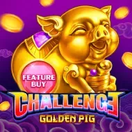 FEATURE BUY・GOLDEN PIGPlayStar